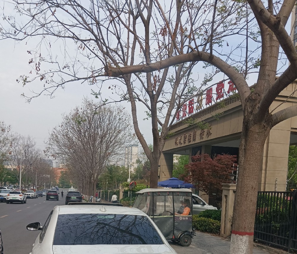 巩义市碧桂园搬家现场