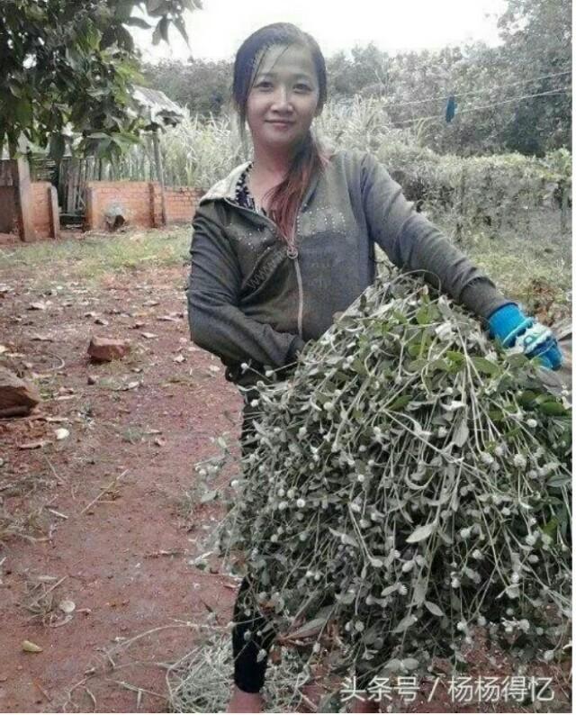 搬家公司当搬运工怎么样？