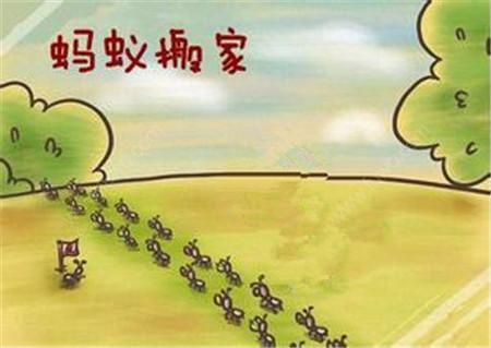 为什么每次下雨前蚂蚁都要搬家？