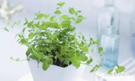“零甲醛”家具真的没有甲醛吗？